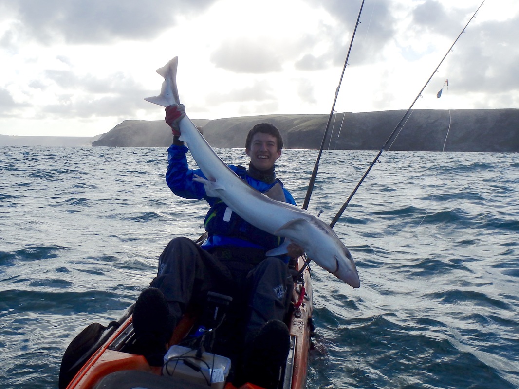 30lb Tope caught from the RTM Abaco in Cornwall