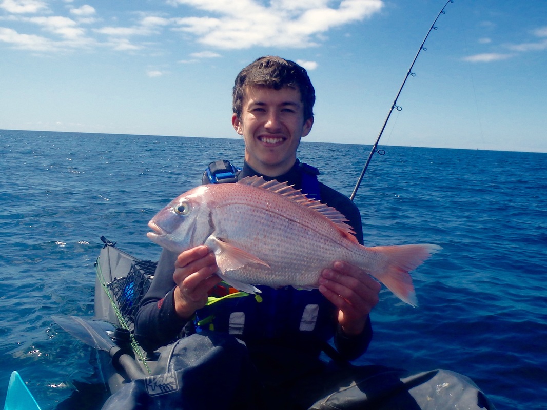 4lb 11oz Couch's Bream caught kayak fishing in Cornwall