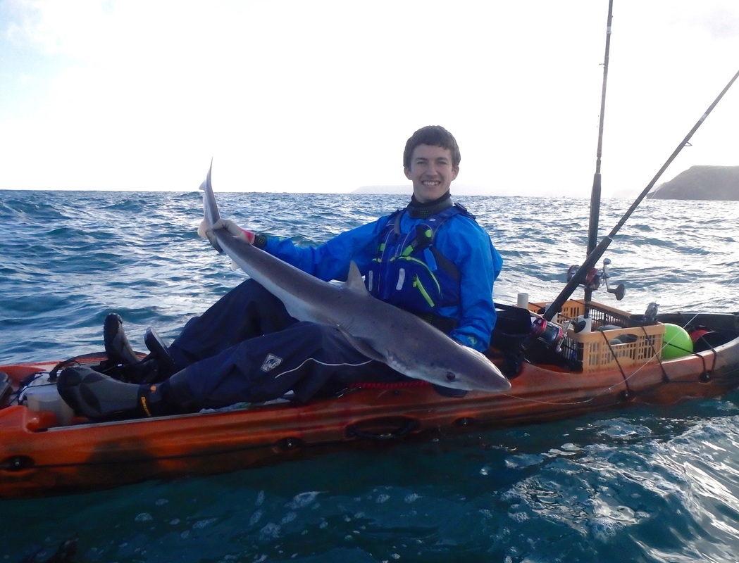 30lb Tope caught from a kayak in Cornwall