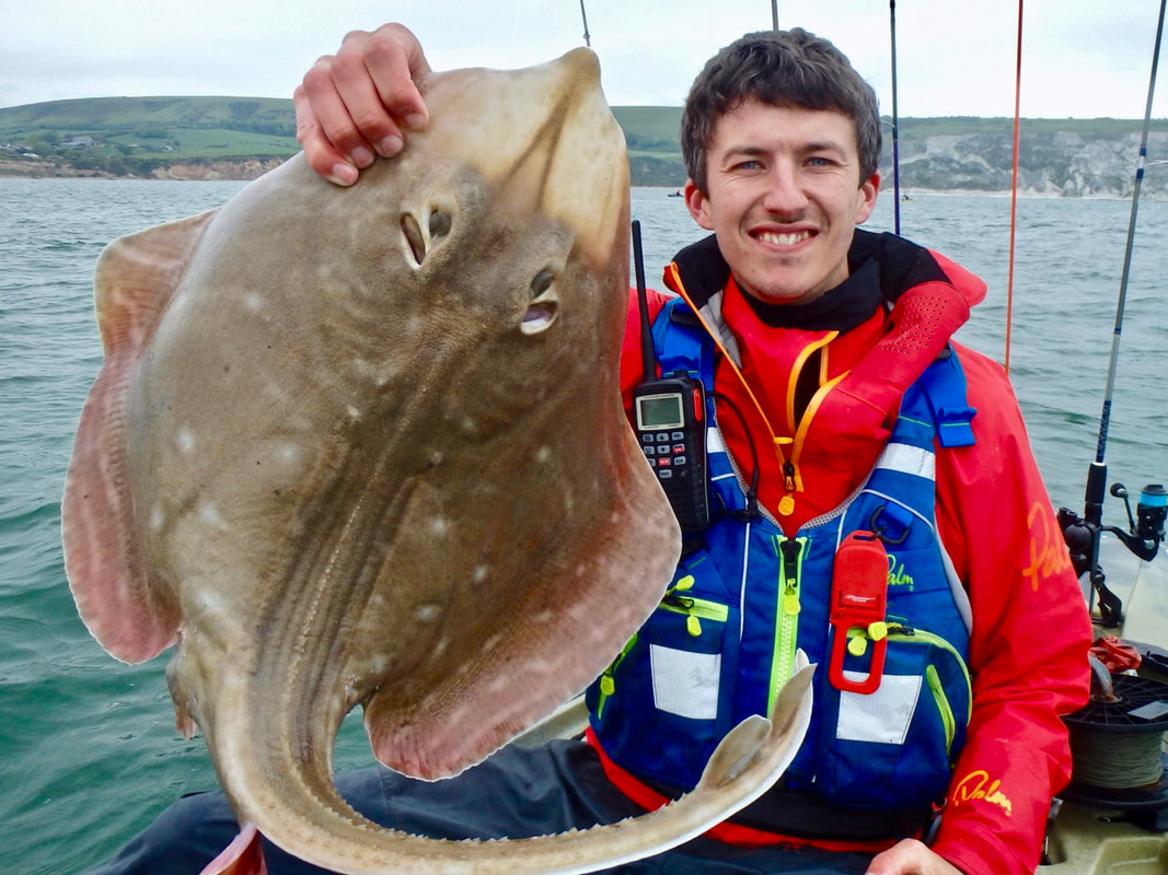 11lb 8oz Small Eyed Ray caught in Swanage Bay whilst kayak fishing 