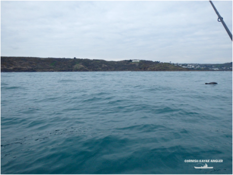 Kayak Fishing at Coverack - looking back towards Coverack from Chynalls Point