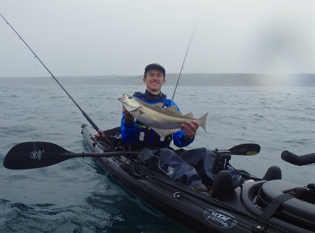 Pollack caught at the Penzance Kayak Fishing Meet 2015
