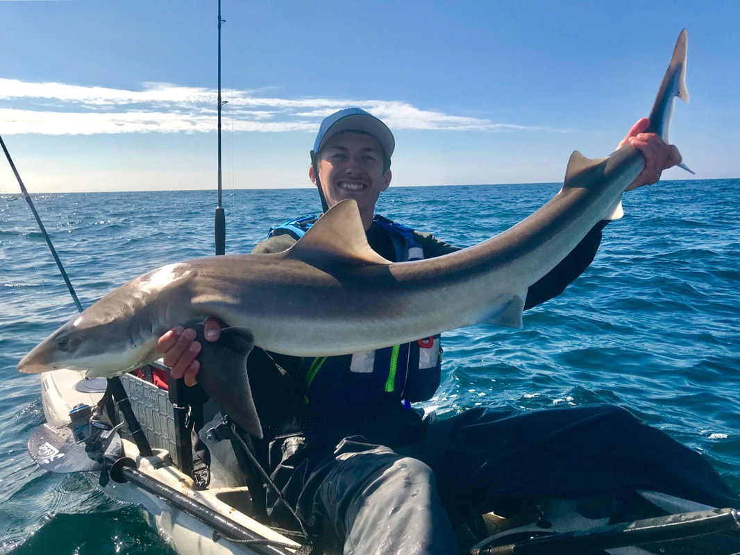 25lb Tope caught from a kayak in Cornwall