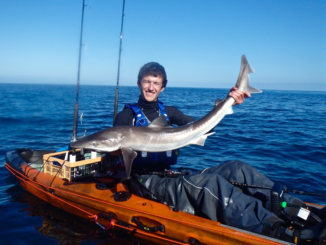 Tope Fishing from a kayak in Cornwall