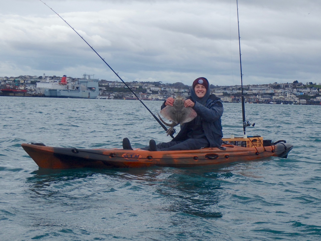 Thornback Ray caught Kayak Fishing