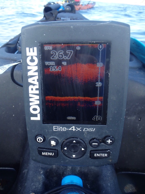 Lowrance Elite 4x DSI fish finder - fish shoal