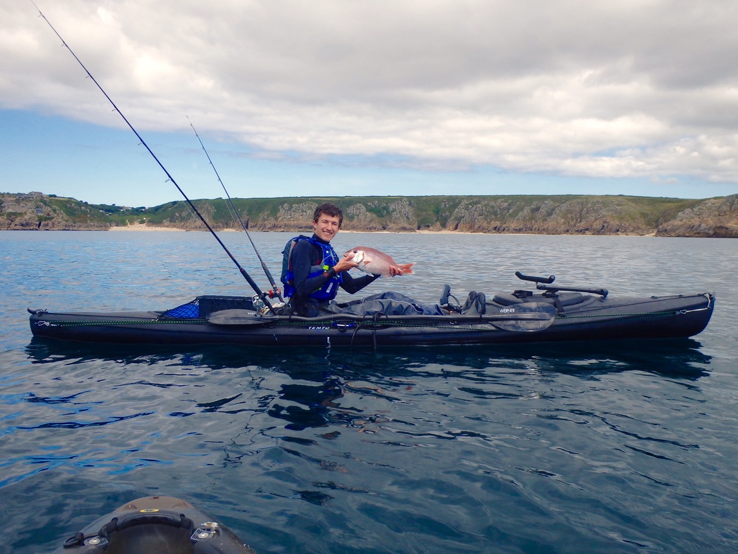 Couch's Bream caught kayak fishing in Cornwall