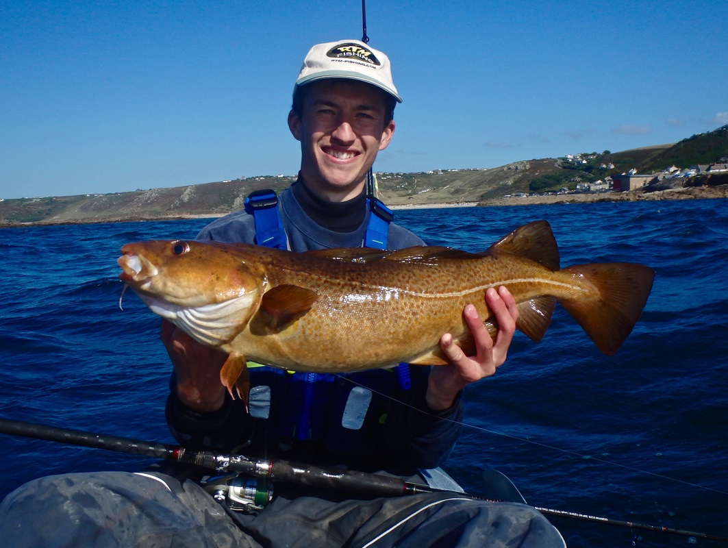 Cod caught on the Ugly Stik 6-12lb 7ft 6in Kayak Rod