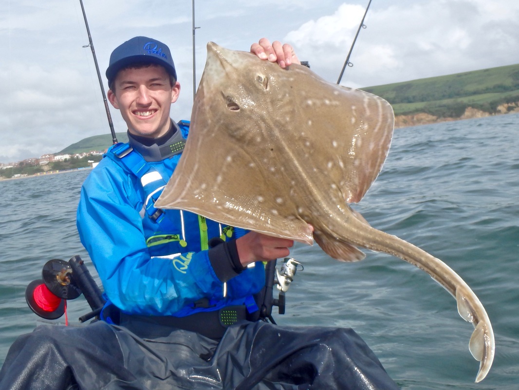 10lb Small Eyed Ray caught at Swanage
