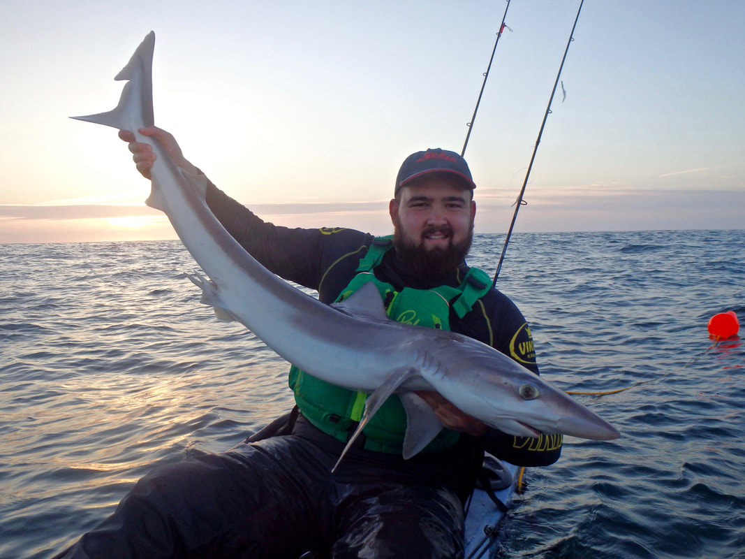 Andrew of Cornwall Canoes with a 20lb Tope on his Viking Profish Reload
