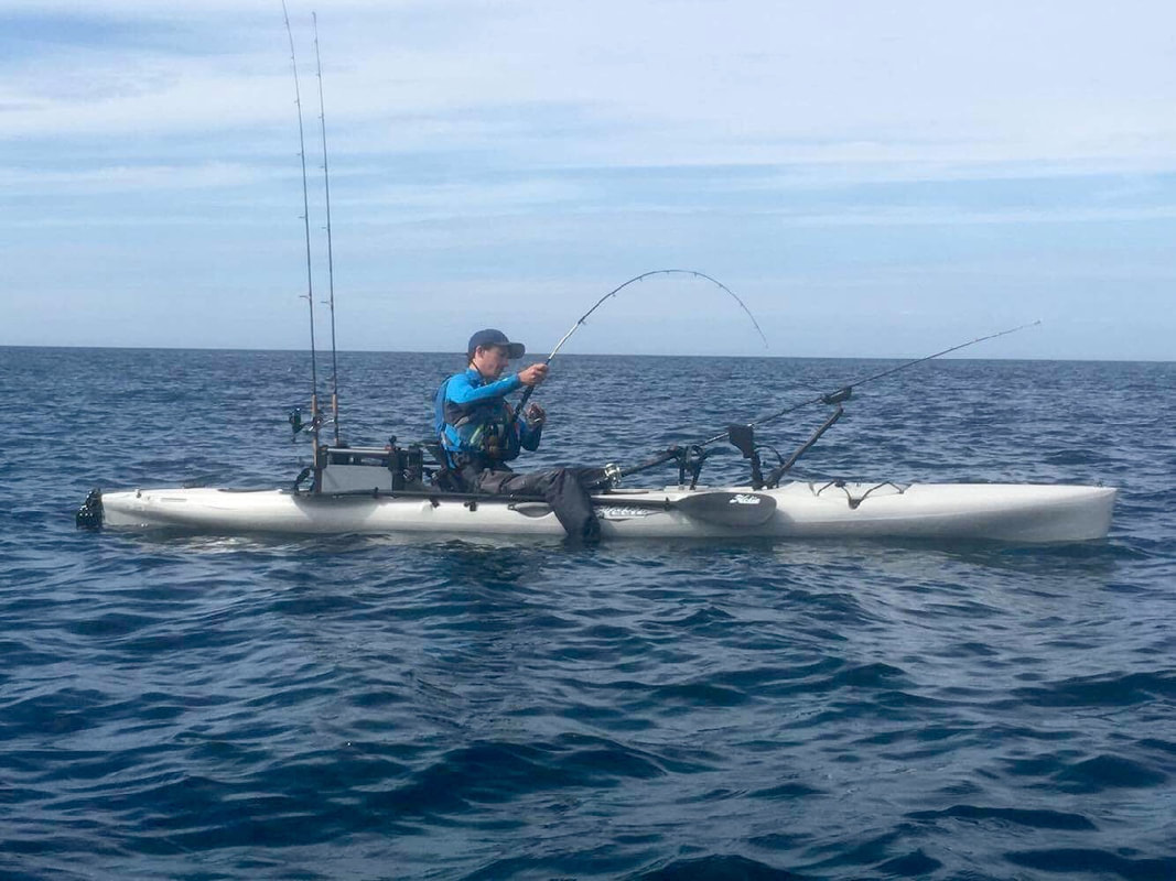 Fladen Maximus Solid Carbon 10-20lb rod battling with a Blonde Ray