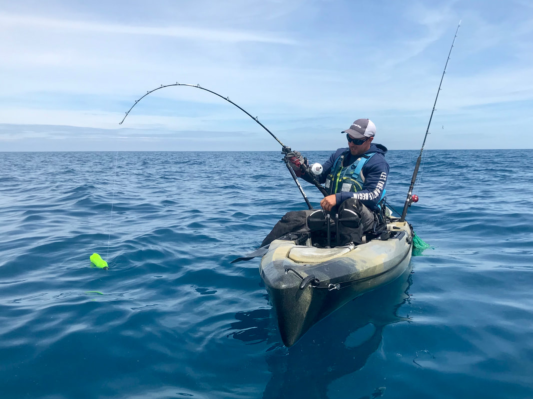 Fishing for Blue Sharks on a Kayak