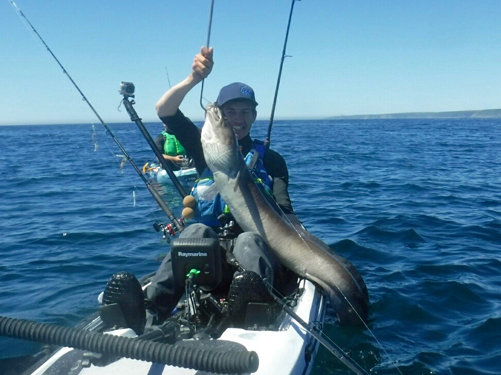 30lb+ Conger Eel caught whilst kayak fishing in Cornwall