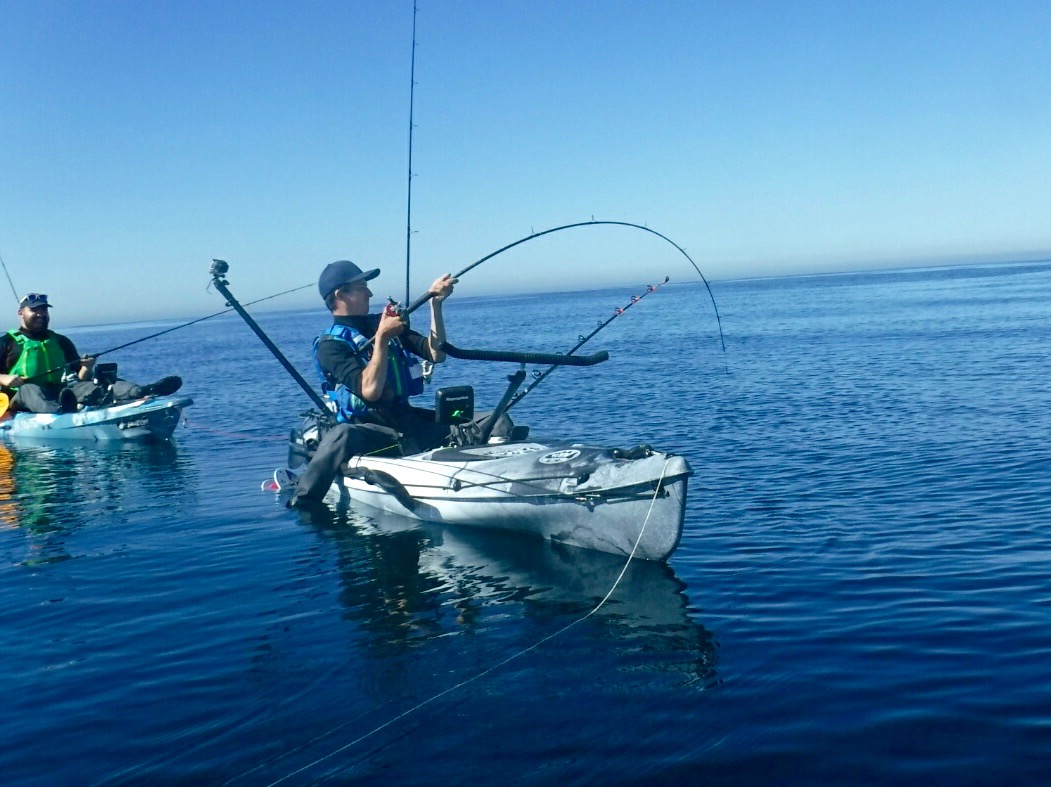 Conger Fishing on the RTM Rytmo Angler