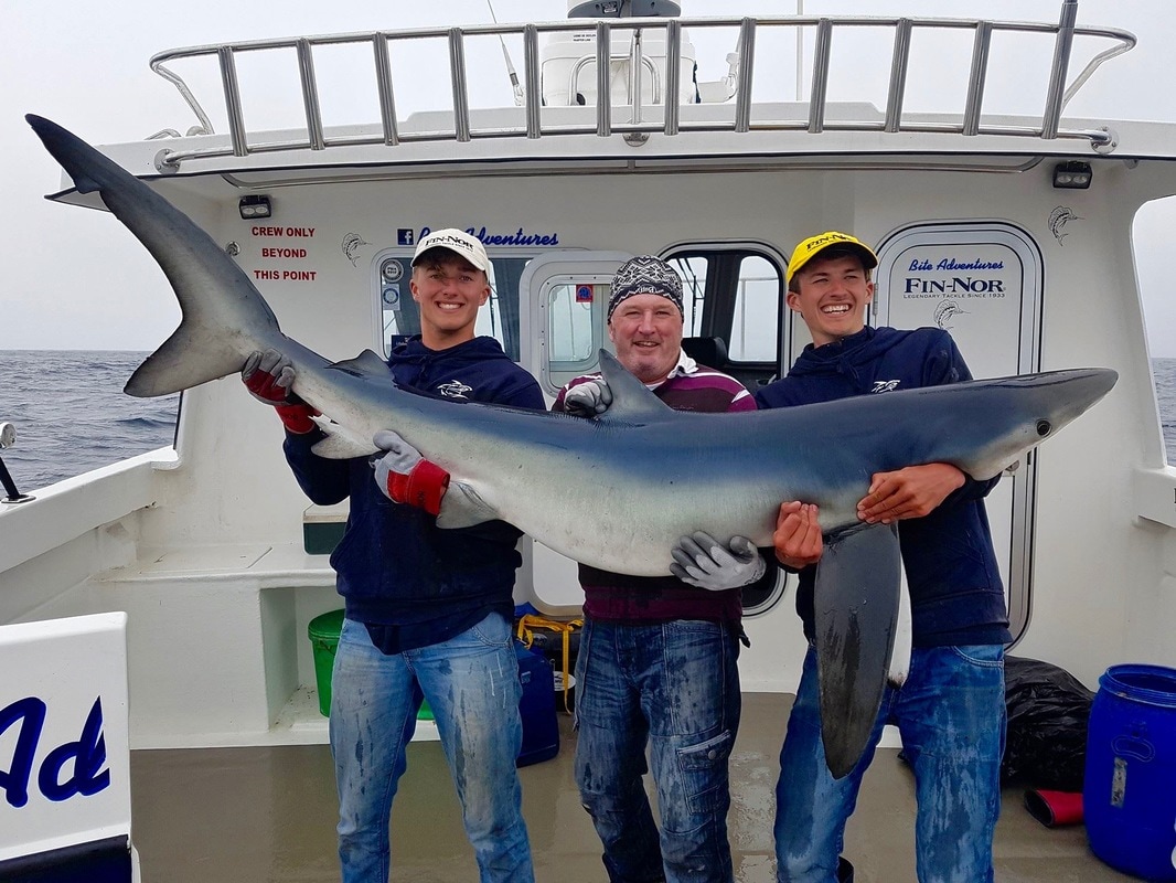 167lb Blue Shark caught on Bite Adventures by Liam Faisey