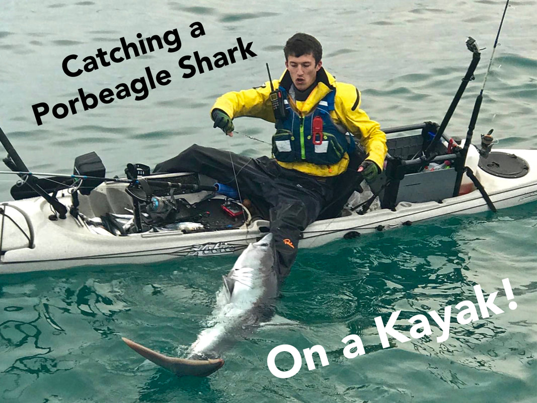 Catching a Porbeagle Shark from the Kayak