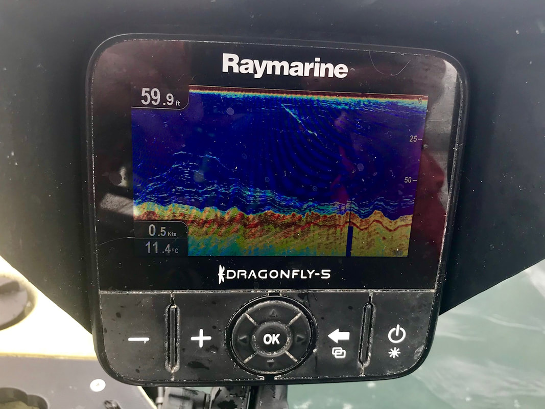 Shoals of fish revealed using CHIRP Sonar on a fish finder