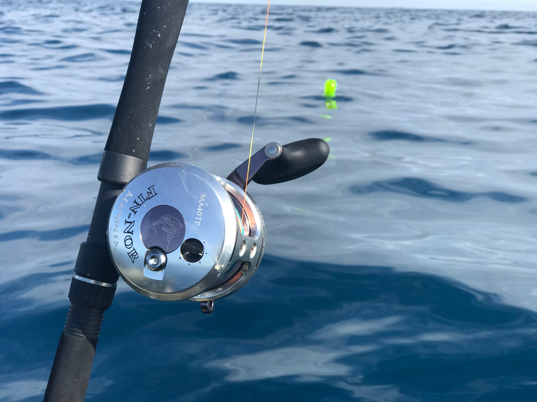 Fin Nor Marquesa Pelagic 40 being used for Blue Shark Fishing