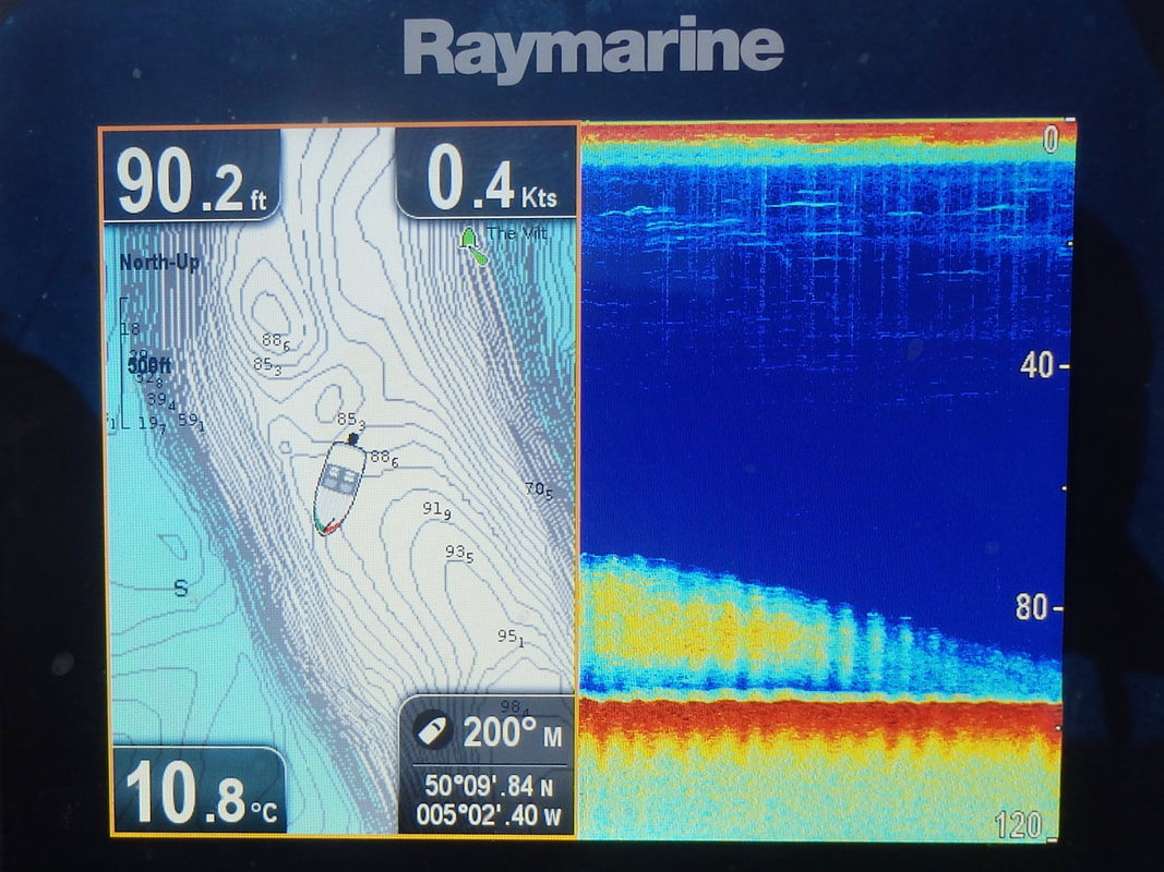 GPS Chartplotter display on a Raymarine Dragonfly fish finder