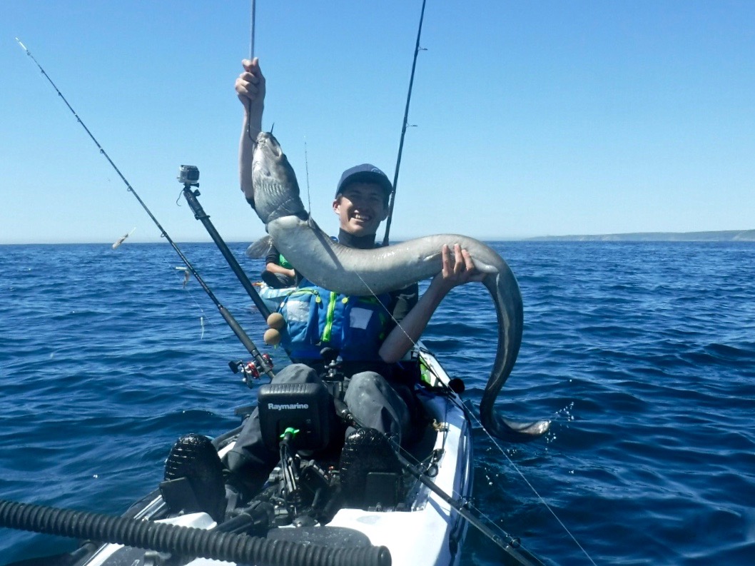 30lb+ Conger Eel caught kayak fishing on the RTM Rytmo Angler