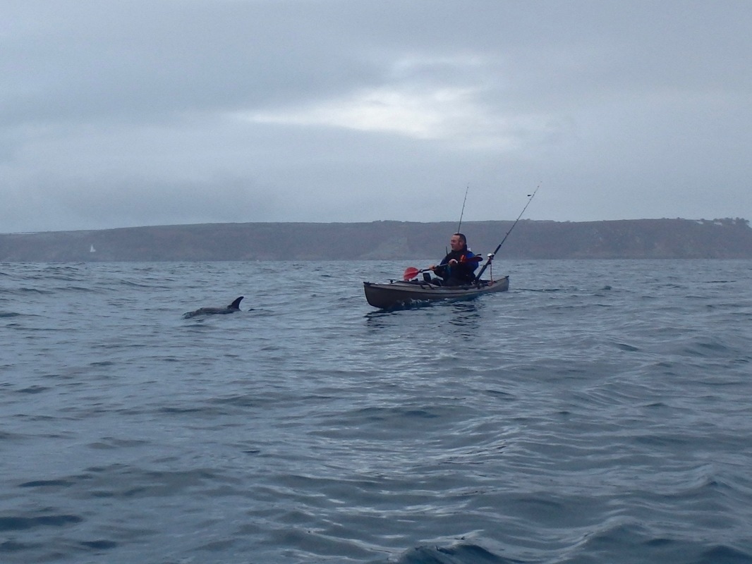Common Dolphins alongside Kayak