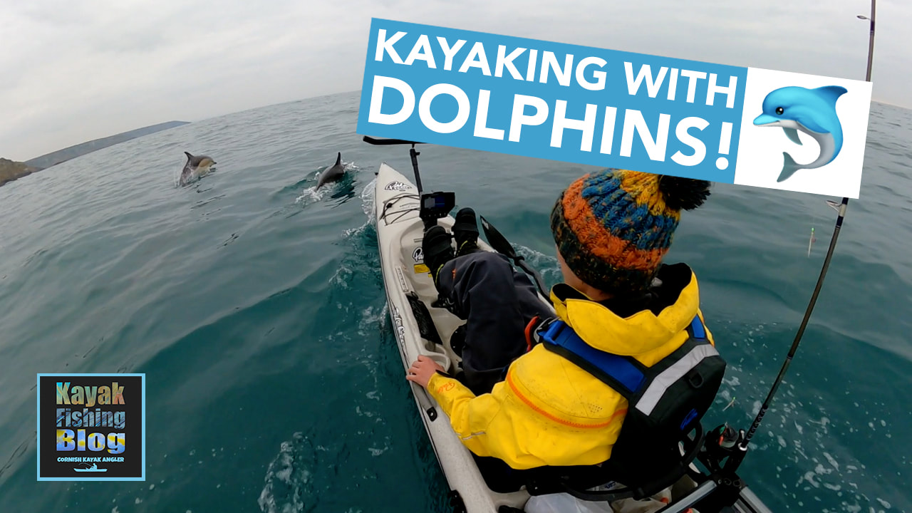 Kayaking with Common Dolphins