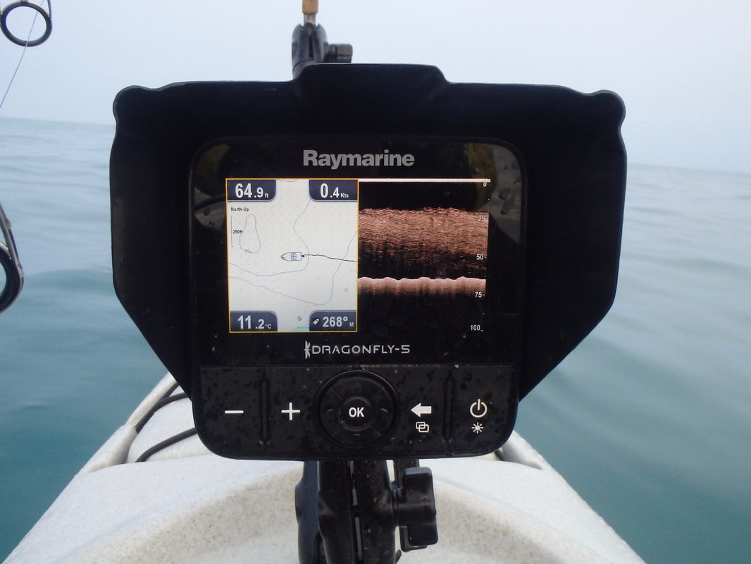 A shoal of mackerel showing on Donscan Imaging mode on a fish finder