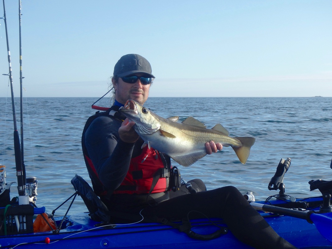 Neil with a Pollack caught at the Penzance Kayak Fishing Meet