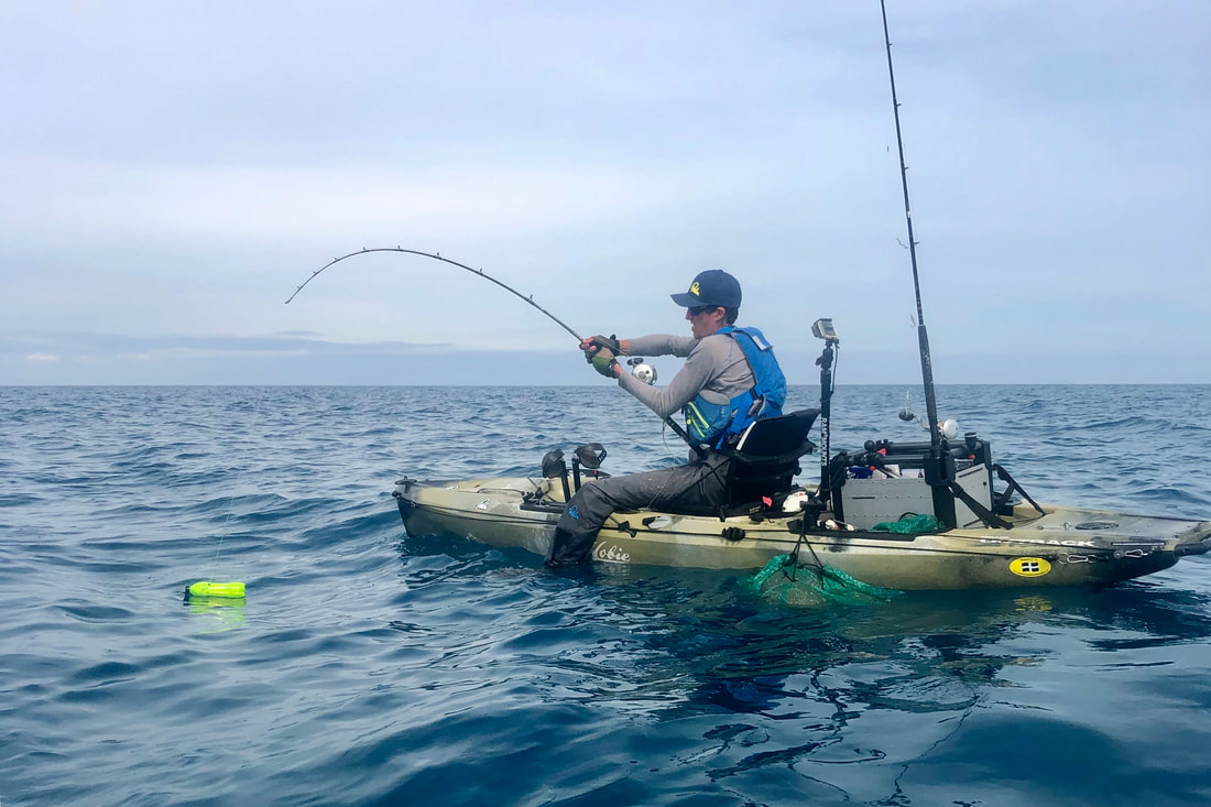 Playing a Blue Shark from a kayak