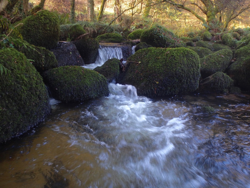 Polwheveral Creek Stream