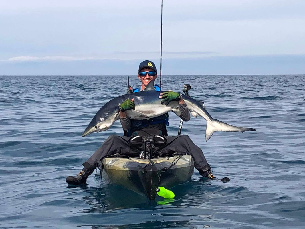 50lb Blue Shark caught kayak fishing