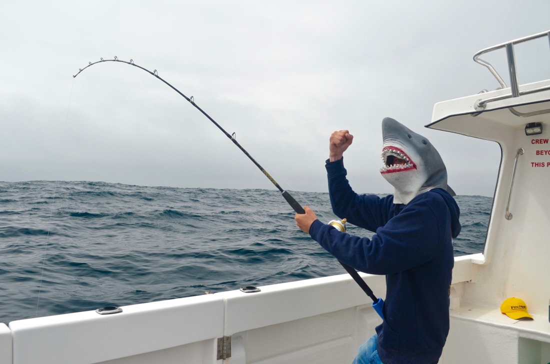 Shark Fishing on Bite Adventures