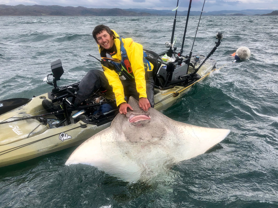 A skate caught in rough weather on a kayak