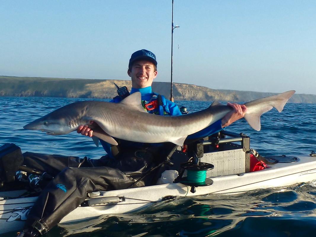 33lb Tope from the kayak in Cornwall
